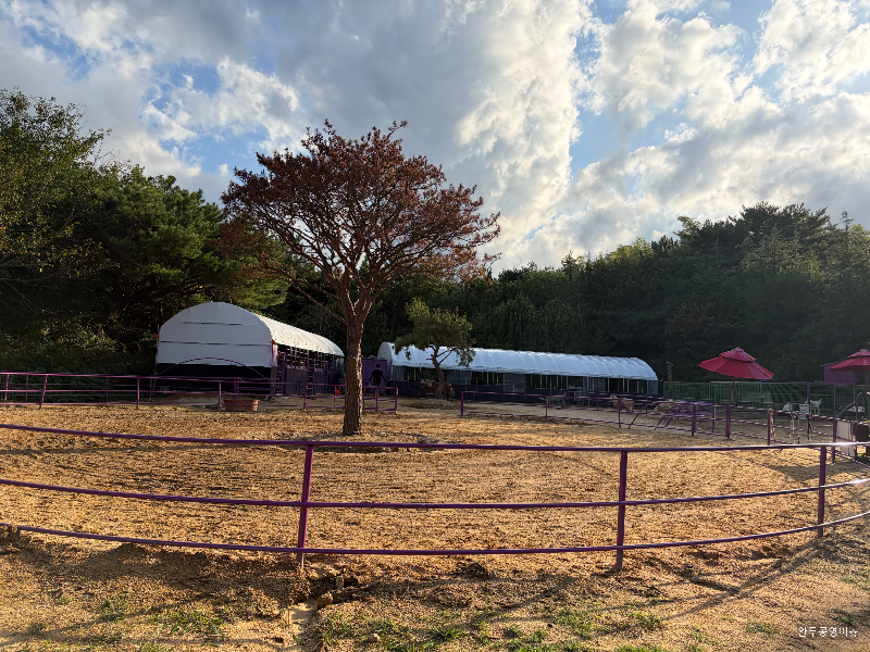 동물의 정원 모습