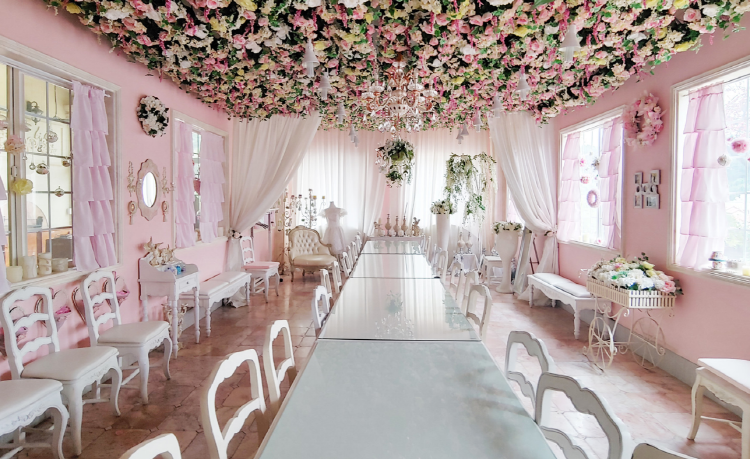 포천 허브아일랜드