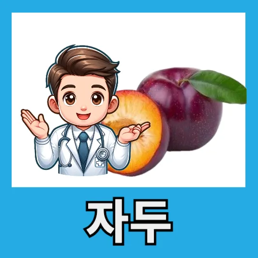 자두 효능 부작용 알고먹기 생자두 건자두 칼로리 자두 하루 섭취량
