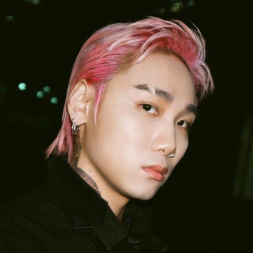 핑크머리 저스디스