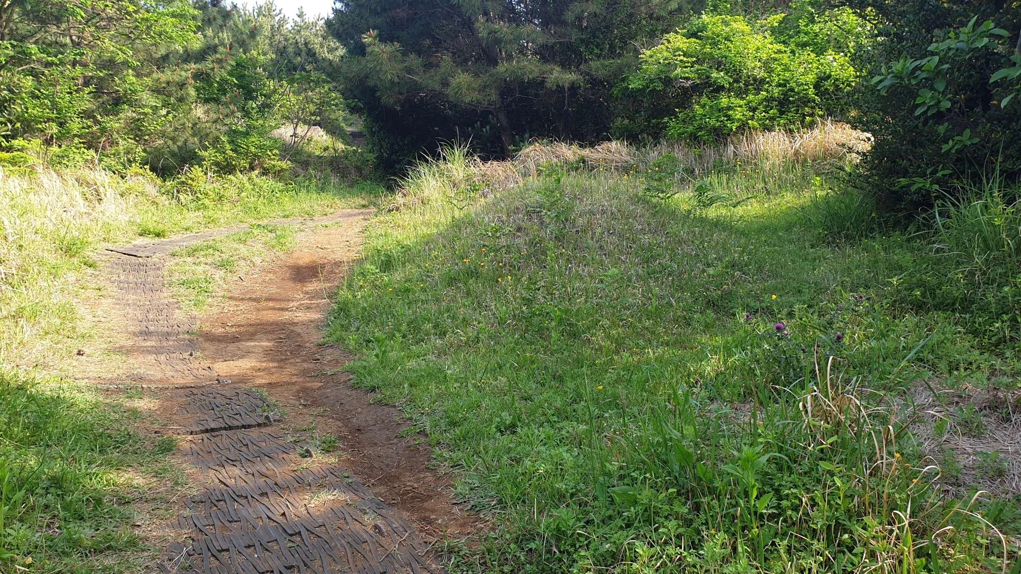 지미봉 정상 가는 길