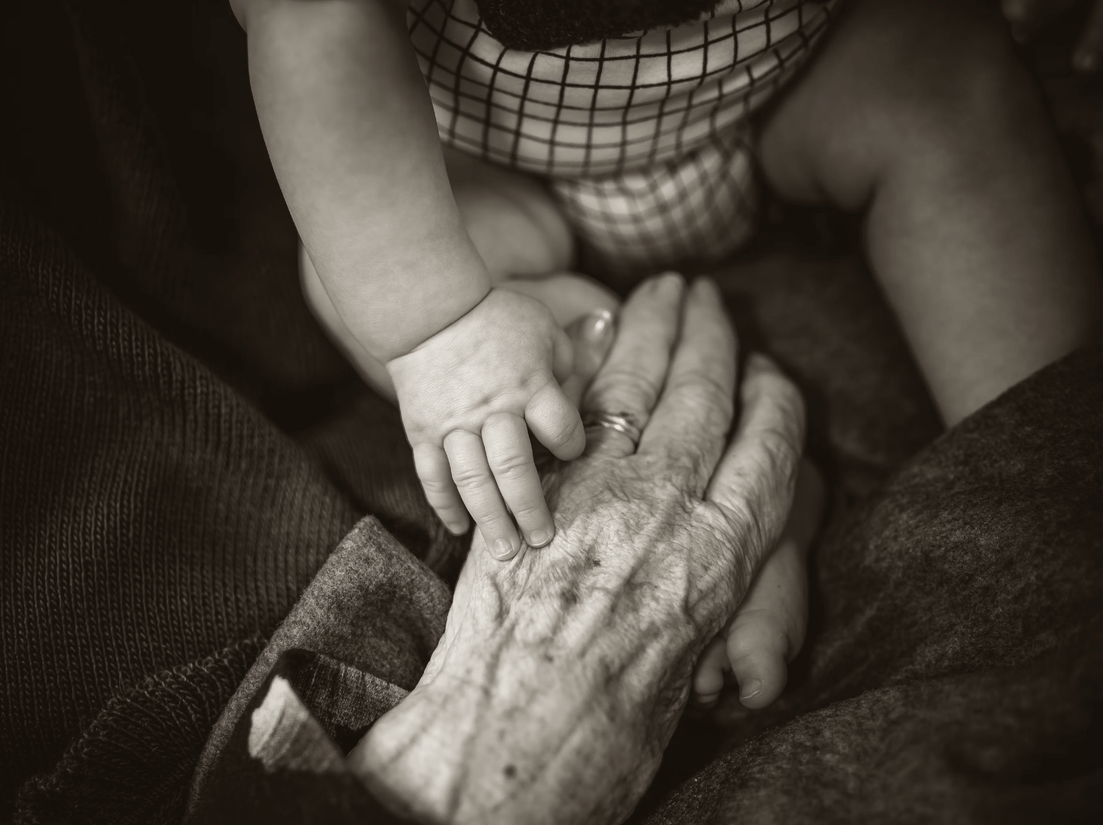 황노화에 효과있는 영양제와 식품 추천