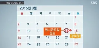 5월 2일 임시공휴일 5월 대체공휴일_8