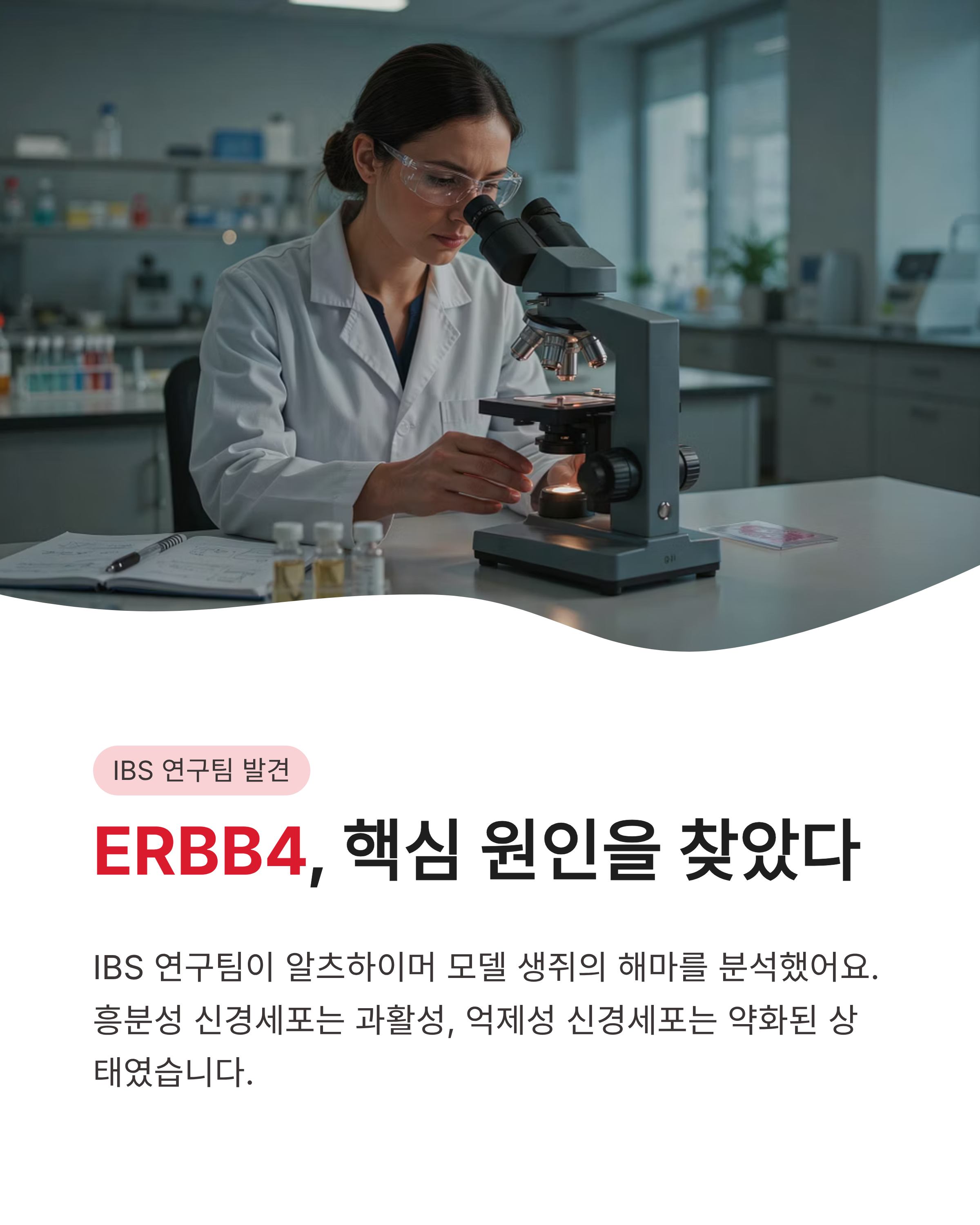 알츠하이머원인 치료제 증상완벽정리!국내 연구진이밝힌 새로운 희망