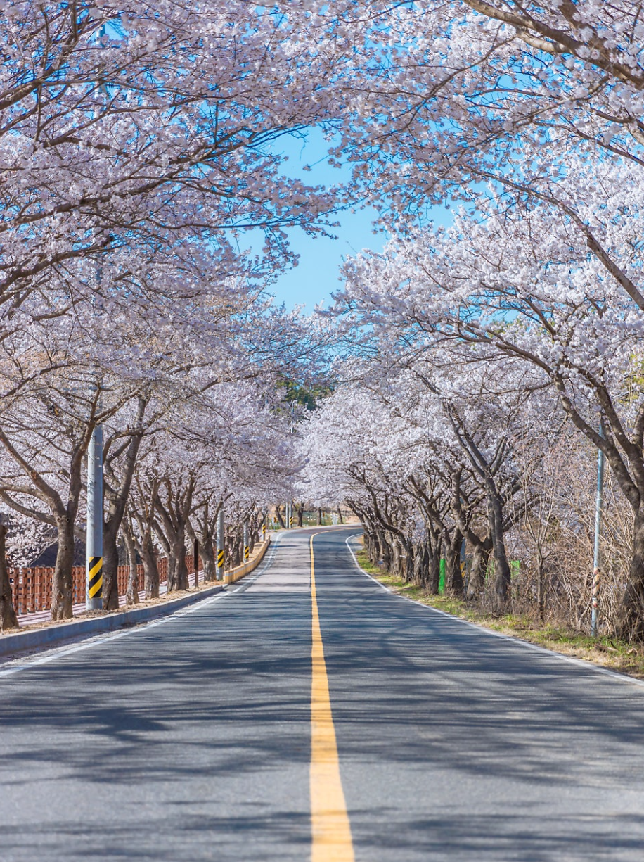 청주 가볼만한곳 베스트10