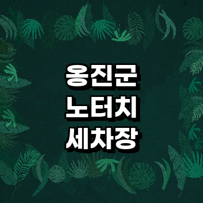 인천 옹진군 노터치 세차