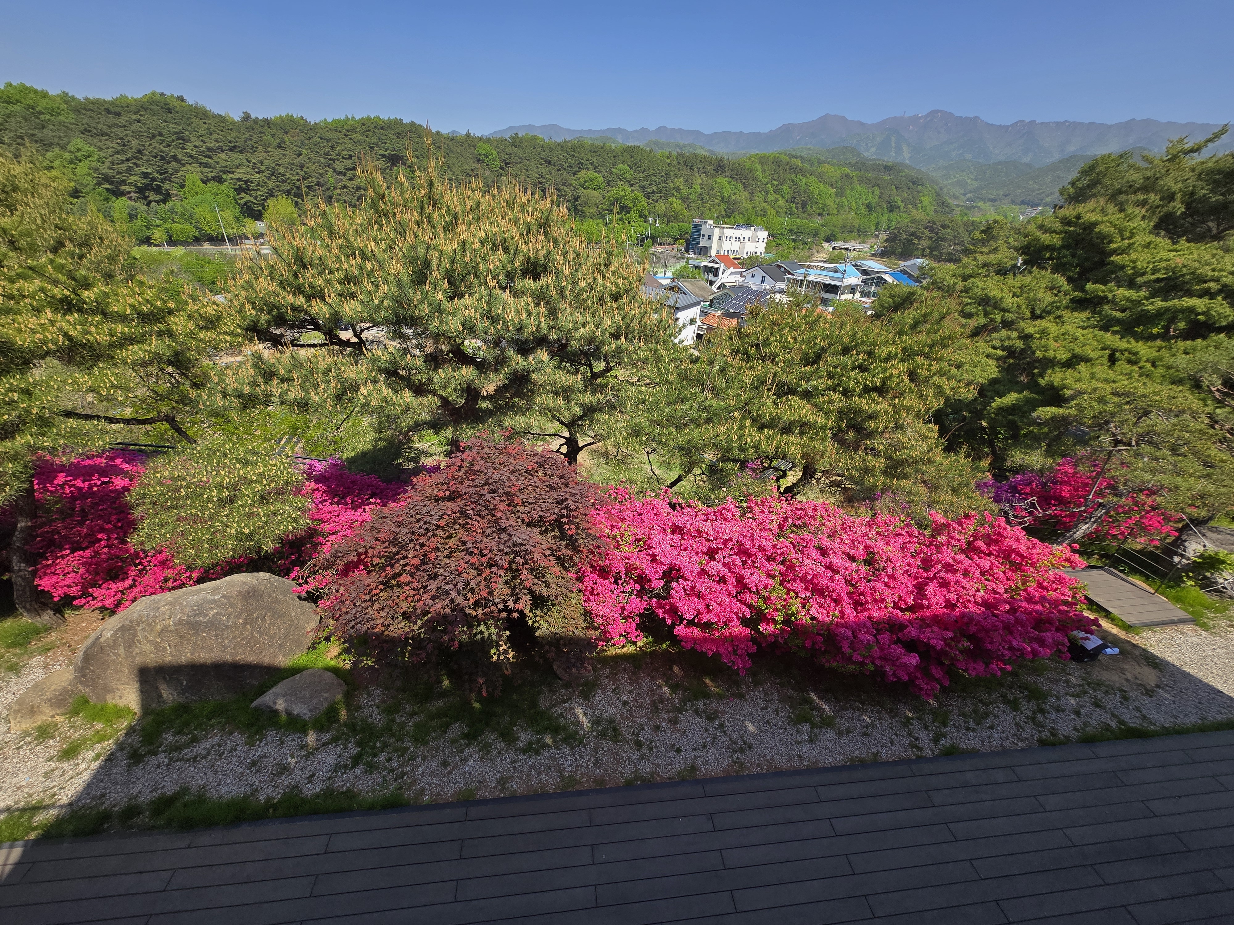 팔공산 굿테이스트커피 by 커피맛을조금아는남자 영산홍