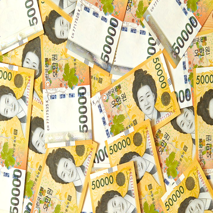 오만원권지폐여러장 