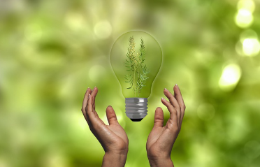 폐기물 관리와 자원 순환 경제: 지속 가능한 산업의 가능성