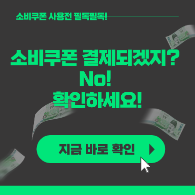 민생회복 지원금 소비쿠폰 사용처 및 사용불가 매장 총정리