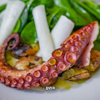 문어 다리 몇개