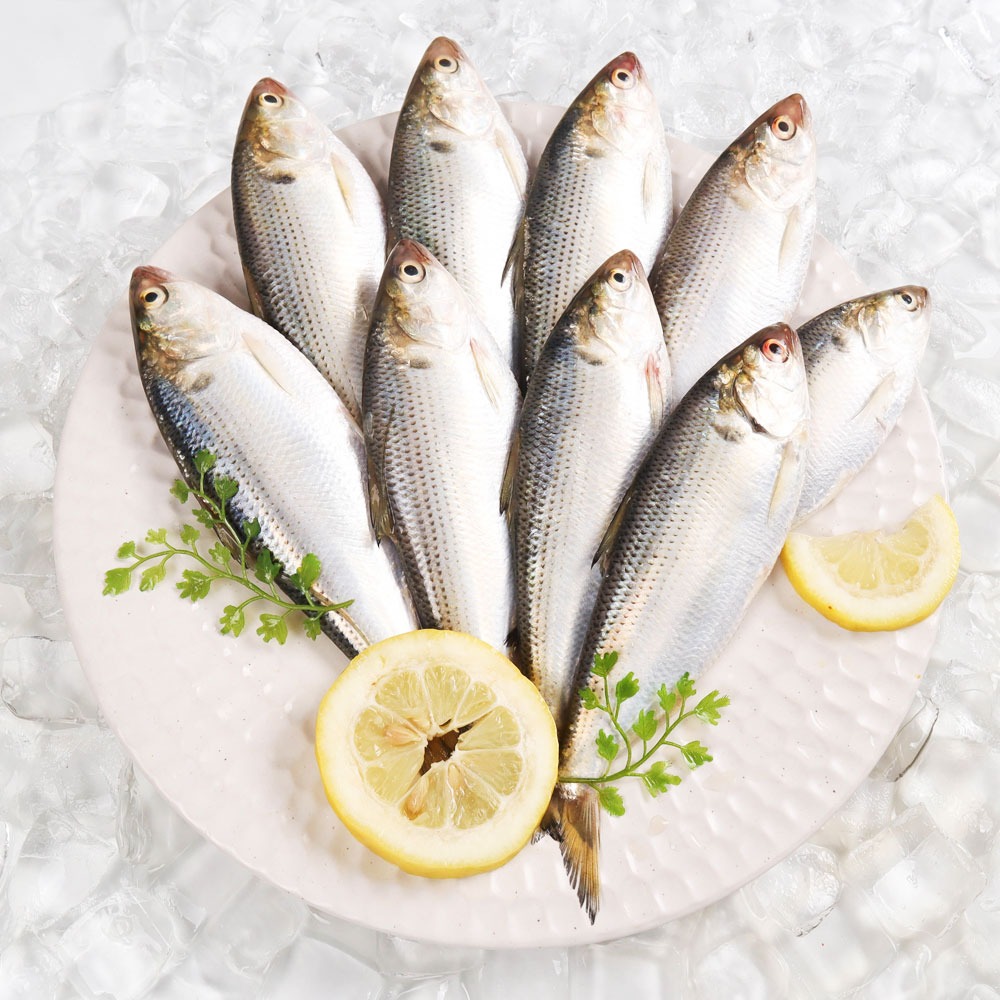 전어 효능 및 부작용