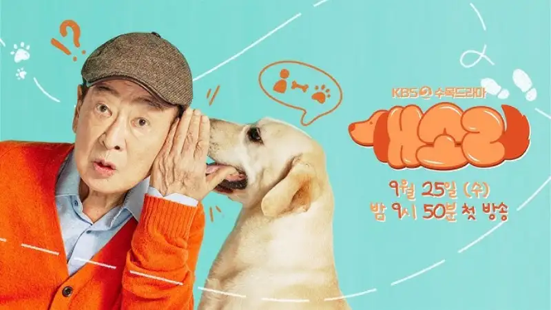 개소리 포스터