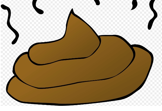 똥꿈 해몽 풀이