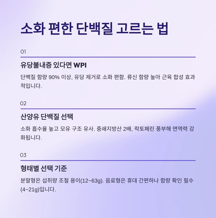 소화가 편한 단백질 선택 가이드