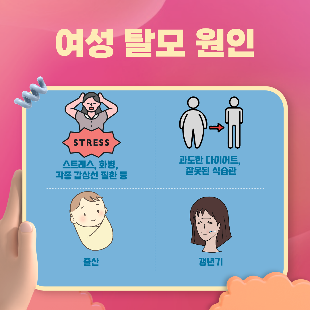 여성 탈모 원인 설명 이미지.