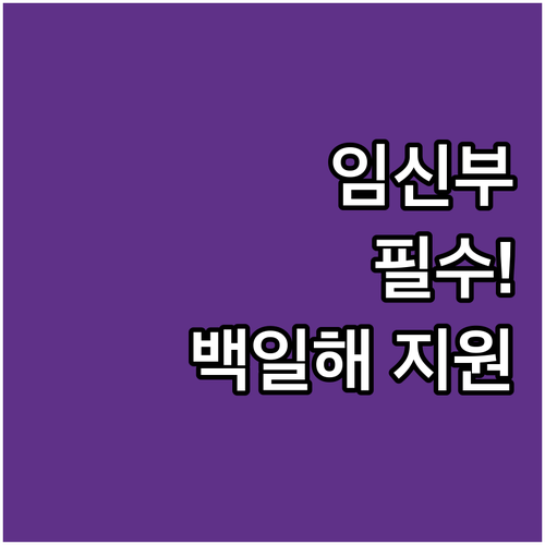 2025 대전 중구 임신부 백일해 접..