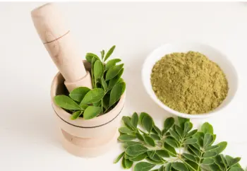 모링가 효능 및 영양성분, 주의점