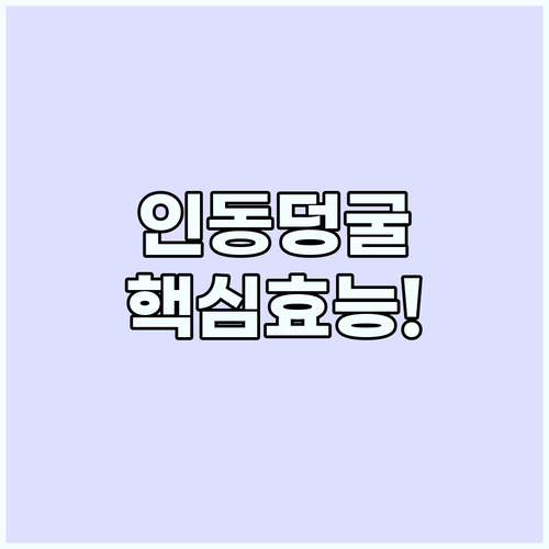 인동덩굴 효능과 부작용 그리고 자연 ..