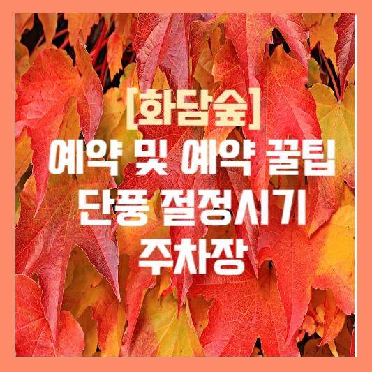 화담숲