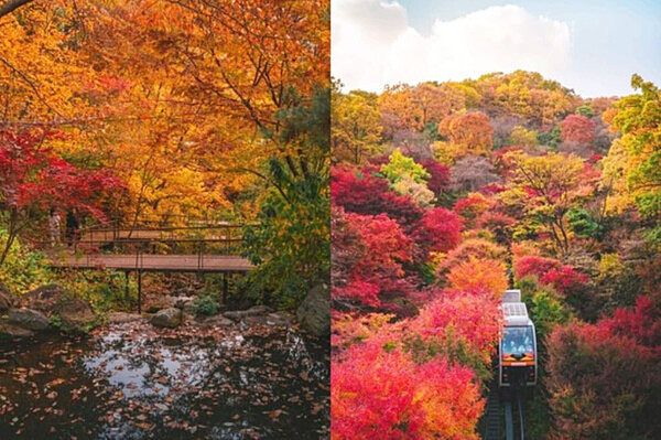 화담숲