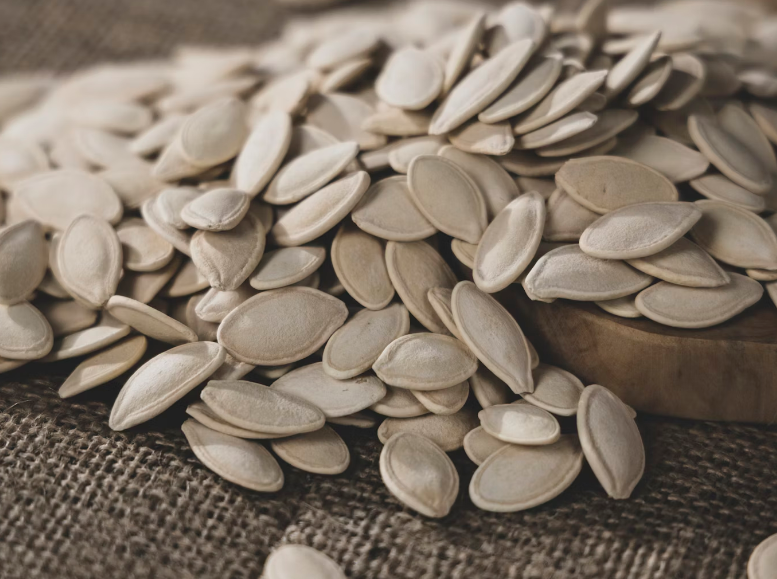 마그네슘 부작용 : 씨앗