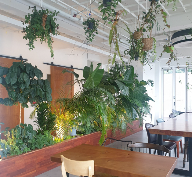 카페 라온층 2층 전경