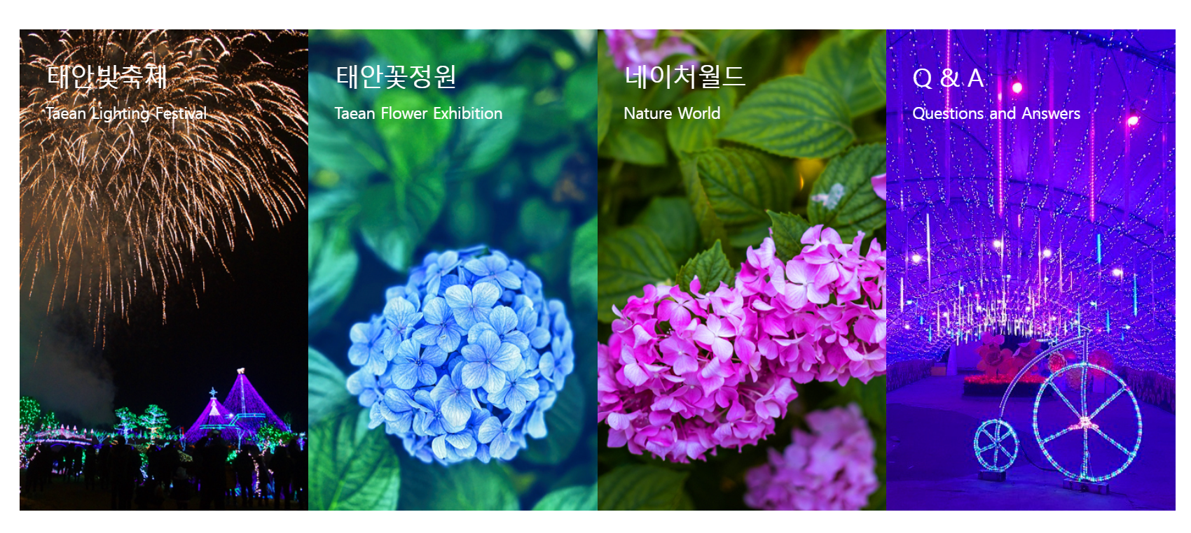 충청도 6월 축제