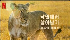 넷플릭스 영화 추천