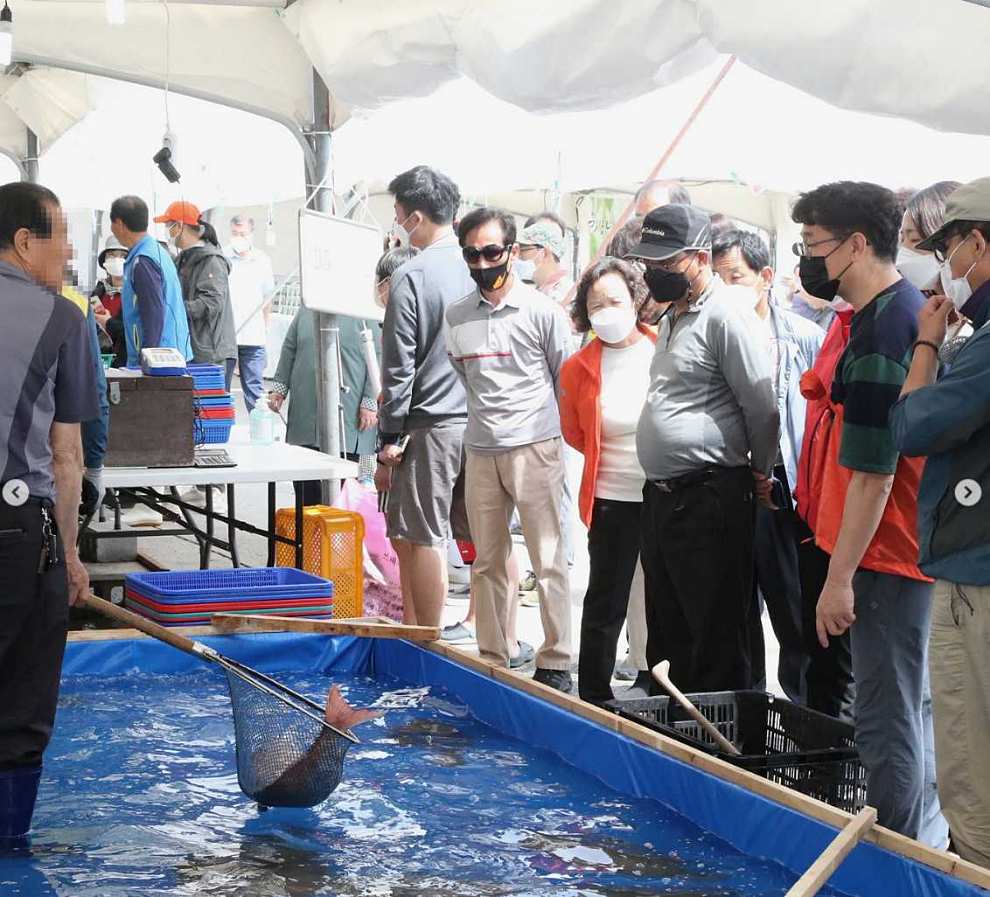 서천 자연산 광어 도미 축제 기본정보