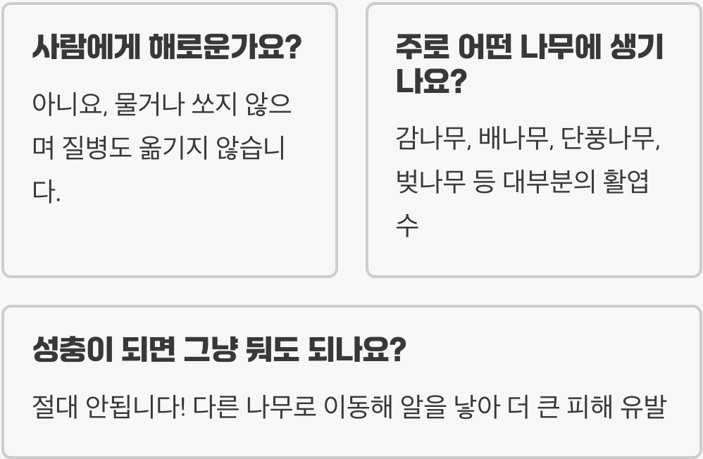 선녀벌레 한 마리, 온 동네 식물을 죽입니다 (초기 박멸법)