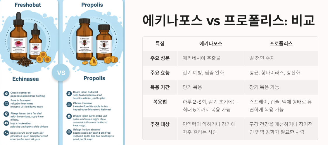 에키나포스 vs 프로폴리스: 차이점 한눈에 보기