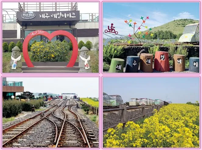 제주도-동쪽-테마파크-제주-레일바이크-액티비티-추천-봄-유채꽃