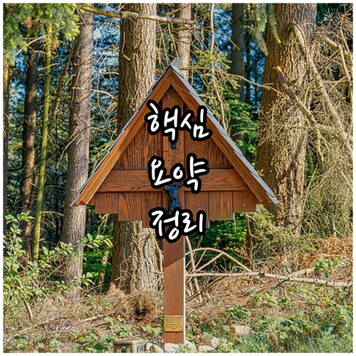 망우동 대형폐기물 버릴 때 이것만 확..