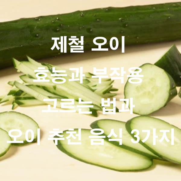 제철 오이 효능과 부작용 고르는 법과 오이 추천 음식 3가지