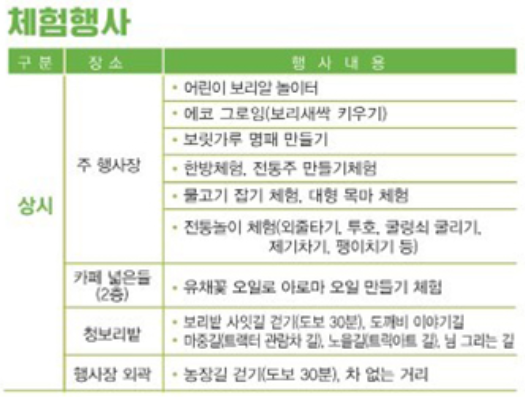 체험행사내용