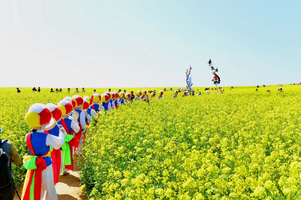 고창청보리밭축제