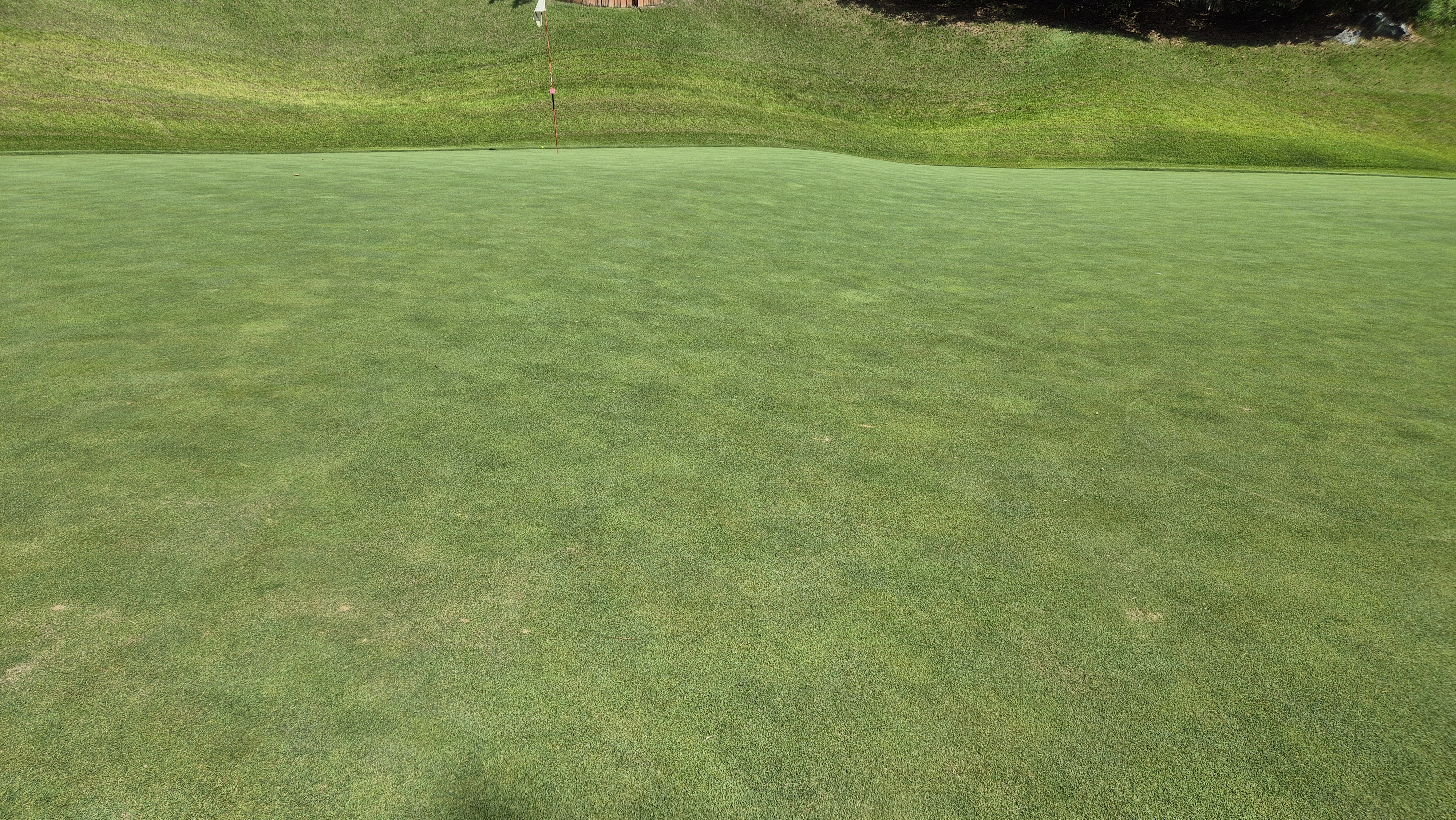 대영힐스cc 청-력 코스 라운드 후기