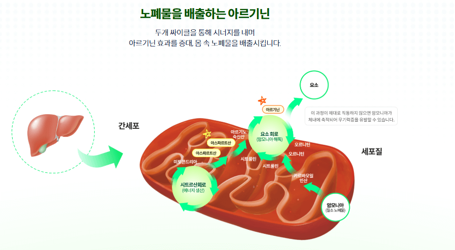 라라올라 가격 효능 및 구입 약국찾기