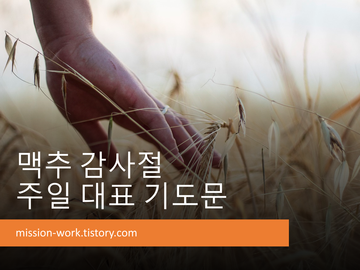 맥추 감사절 주일 대표 기도문