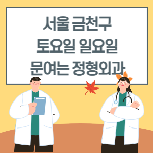 서울 금천구 토요일 일요일 정형외과 진료 병원 리스트
