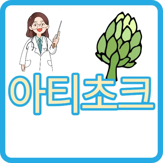 장 건강 아티초크 효능 부작용 칼로리 아티쵸크 아티초크 손질법