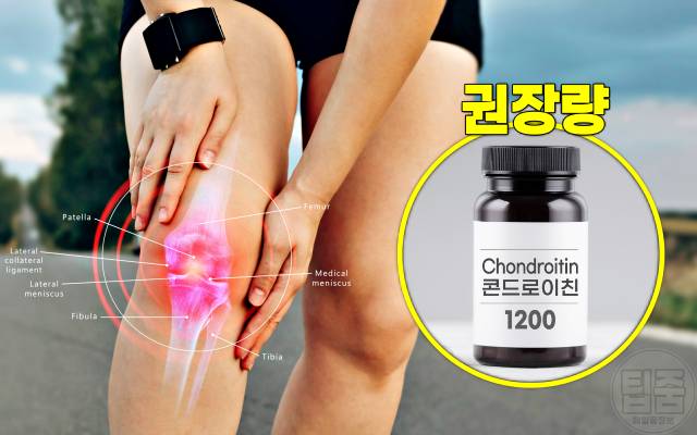 관절영양제 콘드로이친 효능 부작용 권장량 글루코사민 차이
