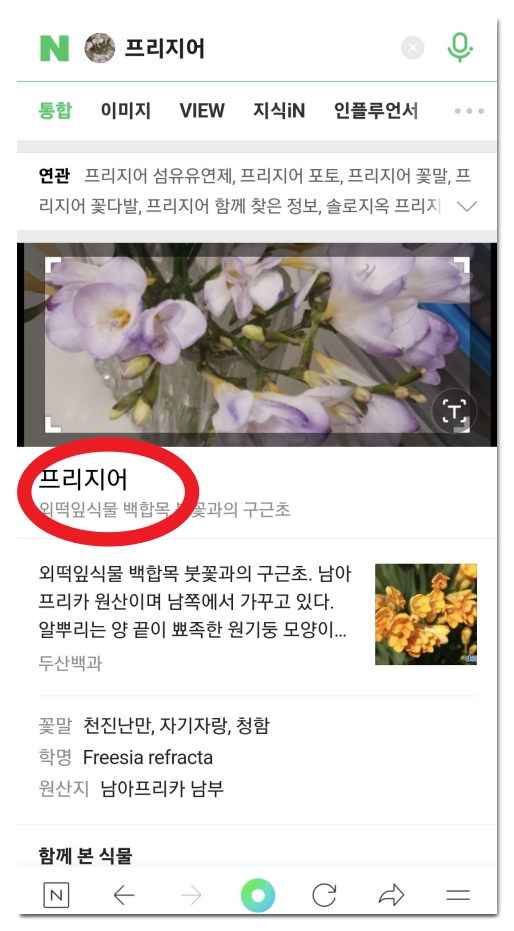네이버-프리지어-검색결과