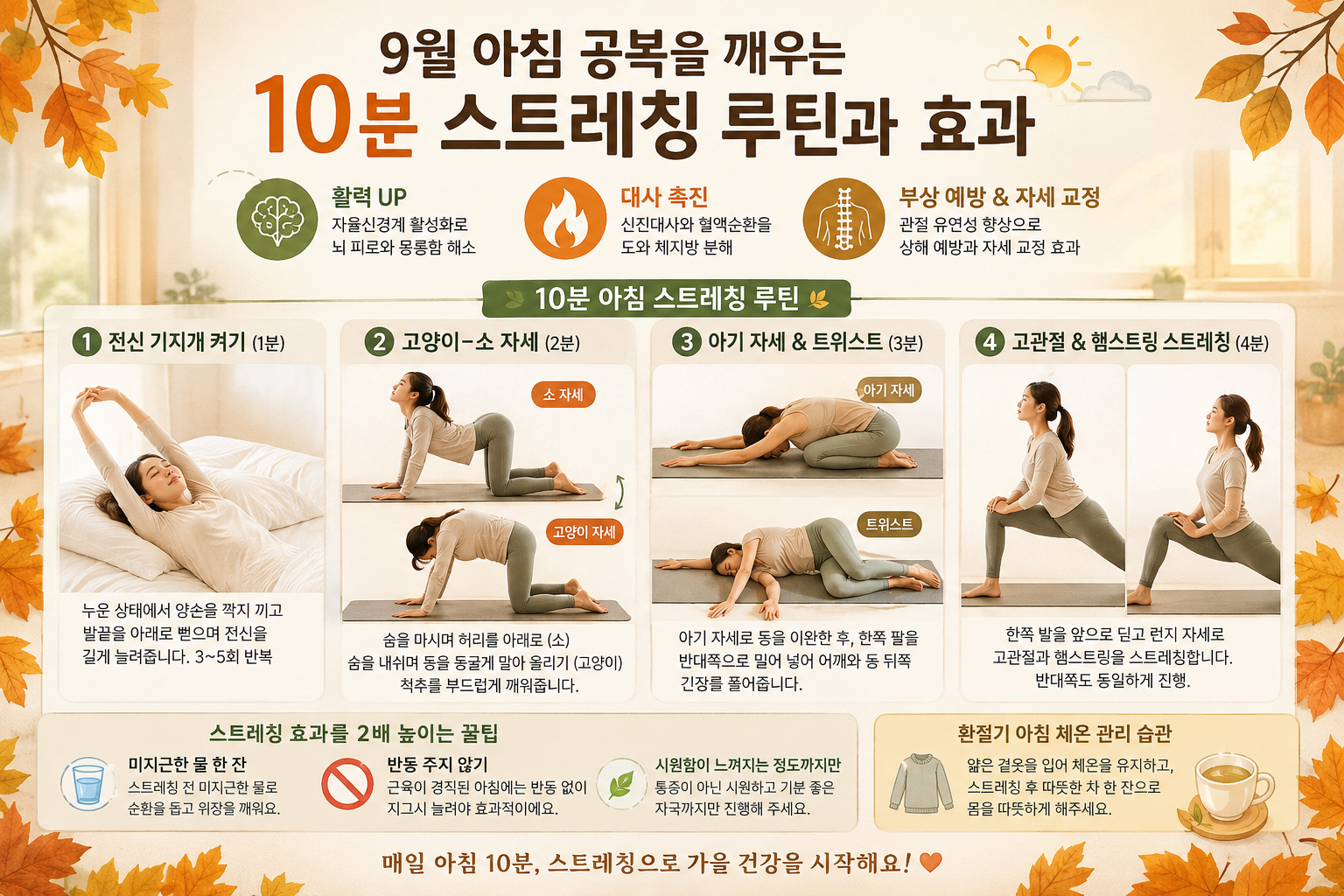 9월 아침 공복을 깨우는 10분 스트레칭 루틴과 효과