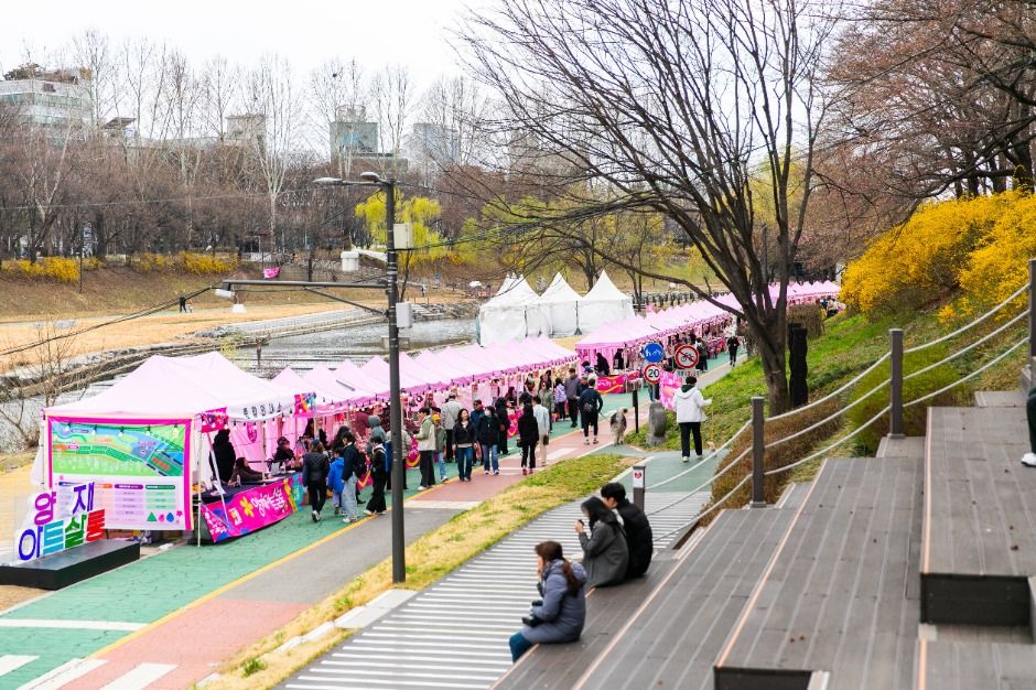 2025 양재아트살롱 축제 (9월 13일~10월 19일) 교통과 행사 내용