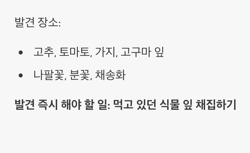 우연히 만난 초록색 꼬마 괴물