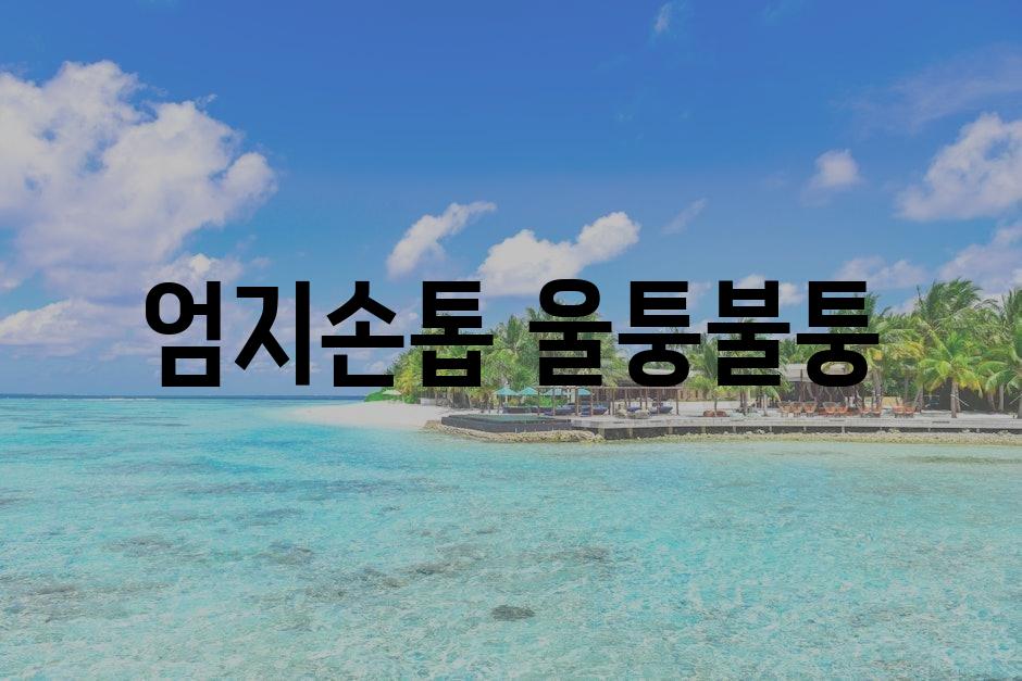 샘플 (72)