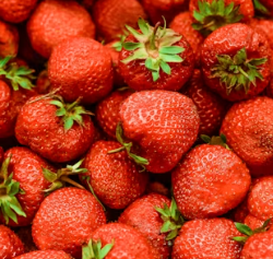 고지혈증에 좋은 음식 영양제 식단