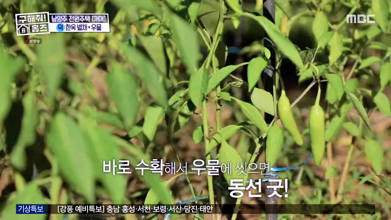 구해줘홈즈 양세찬 조혜련 위키미키 최유정 남양주시 수동면 사랑방을 그대 품안에 매물 가격 및 구조 인테리어 리모델링 최종선택 소개 다시보기